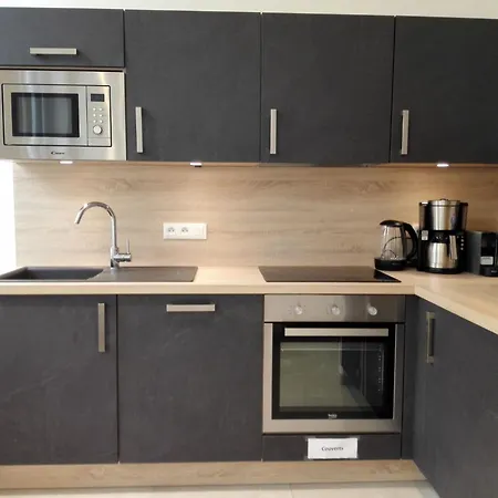 Apartment Privathof Barbecue Stadtzentrum Voltaire By Interhome