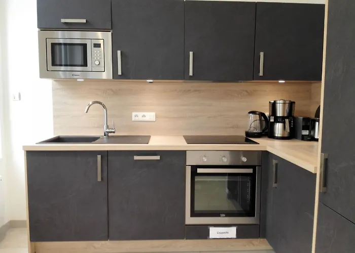 Apartment Privathof Barbecue Stadtzentrum Voltaire By Interhome