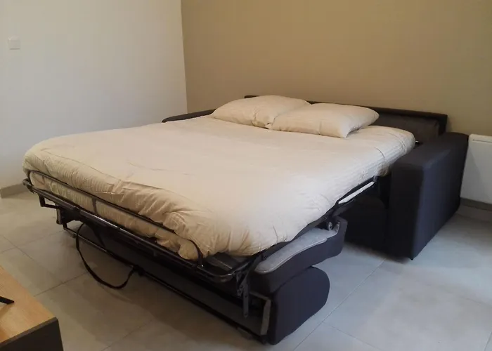 Privathof Barbecue Stadtzentrum Voltaire By Interhome *