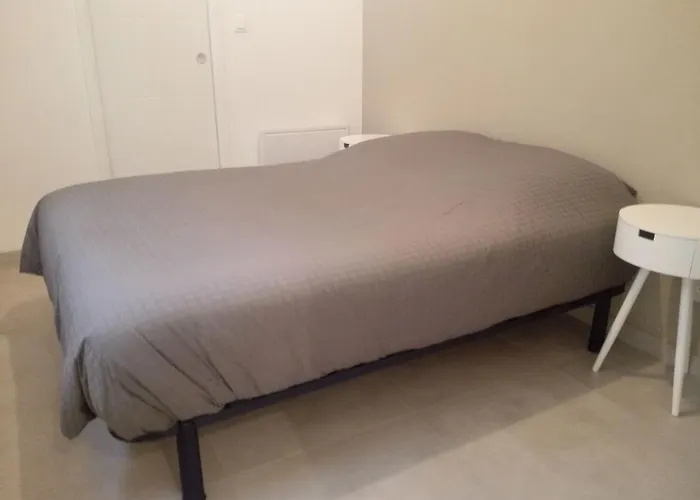 Privathof Barbecue Stadtzentrum Voltaire By Interhome *