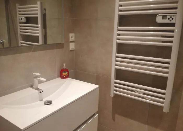 Privathof Barbecue Stadtzentrum Voltaire By Interhome Apartment *